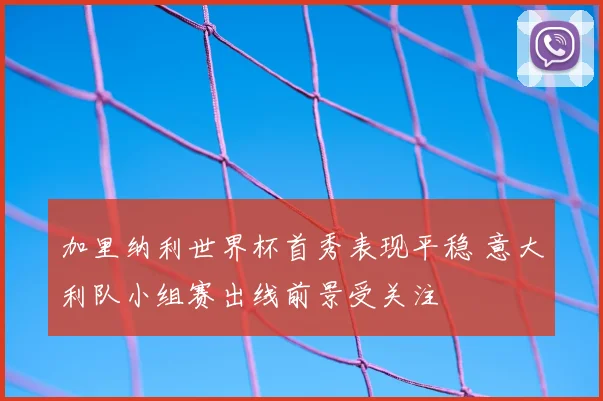 加里纳利世界杯首秀表现平稳 意大利队小组赛出线前景受关注