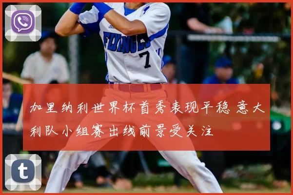 加里纳利世界杯首秀表现平稳 意大利队小组赛出线前景受关注
