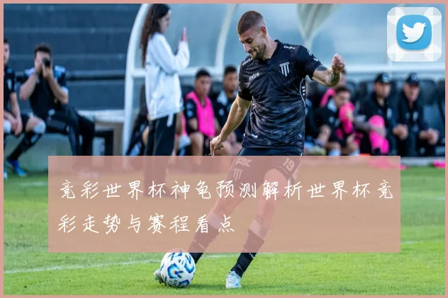 竞彩世界杯神龟预测解析世界杯竞彩走势与赛程看点