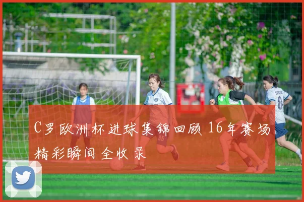 C罗欧洲杯进球集锦回顾 16年赛场精彩瞬间全收录