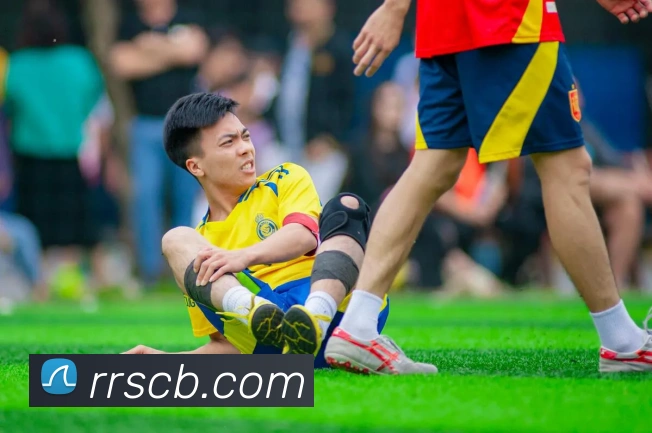 球盟体育官方网站平台生态图